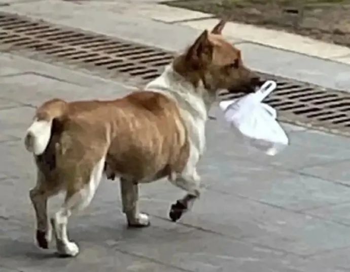 “这不是内衣,这是口罩!”口罩掉地上引发的社死现场… “这不是内衣,这是口罩!”口罩掉地上引发的社死现场…