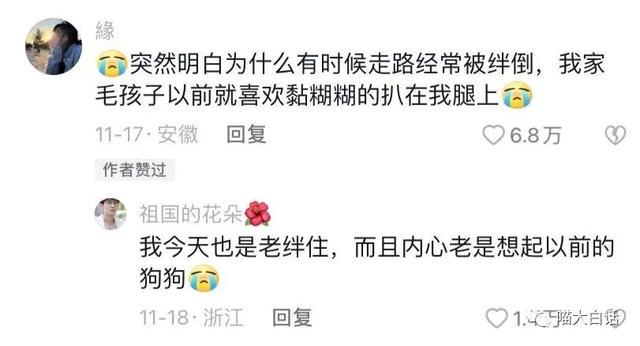 日本踢赢德国后网友的反应,哈哈哈哈被缺德段子笑麻了 日本踢赢德国后网友的反应,哈哈哈哈被缺德段子笑麻了