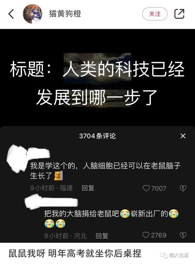 日本踢赢德国后网友的反应,哈哈哈哈被缺德段子笑麻了 日本踢赢德国后网友的反应,哈哈哈哈被缺德段子笑麻了