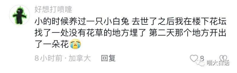 日本踢赢德国后网友的反应,哈哈哈哈被缺德段子笑麻了 日本踢赢德国后网友的反应,哈哈哈哈被缺德段子笑麻了
