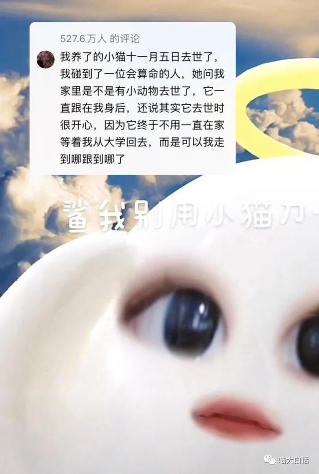 日本踢赢德国后网友的反应,哈哈哈哈被缺德段子笑麻了 日本踢赢德国后网友的反应,哈哈哈哈被缺德段子笑麻了