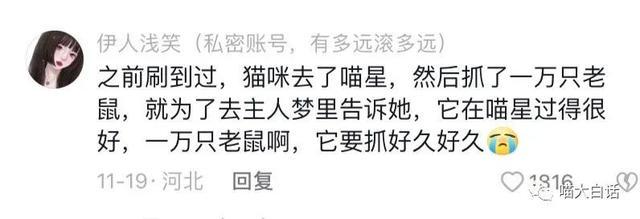日本踢赢德国后网友的反应,哈哈哈哈被缺德段子笑麻了 日本踢赢德国后网友的反应,哈哈哈哈被缺德段子笑麻了