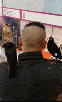 “地铁上要到了外国妹子的微信,她给我发的是什么暗示语?”哈哈哈哈…… “地铁上要到了外国妹子的微信,她给我发的是什么暗示语?”哈哈哈哈……