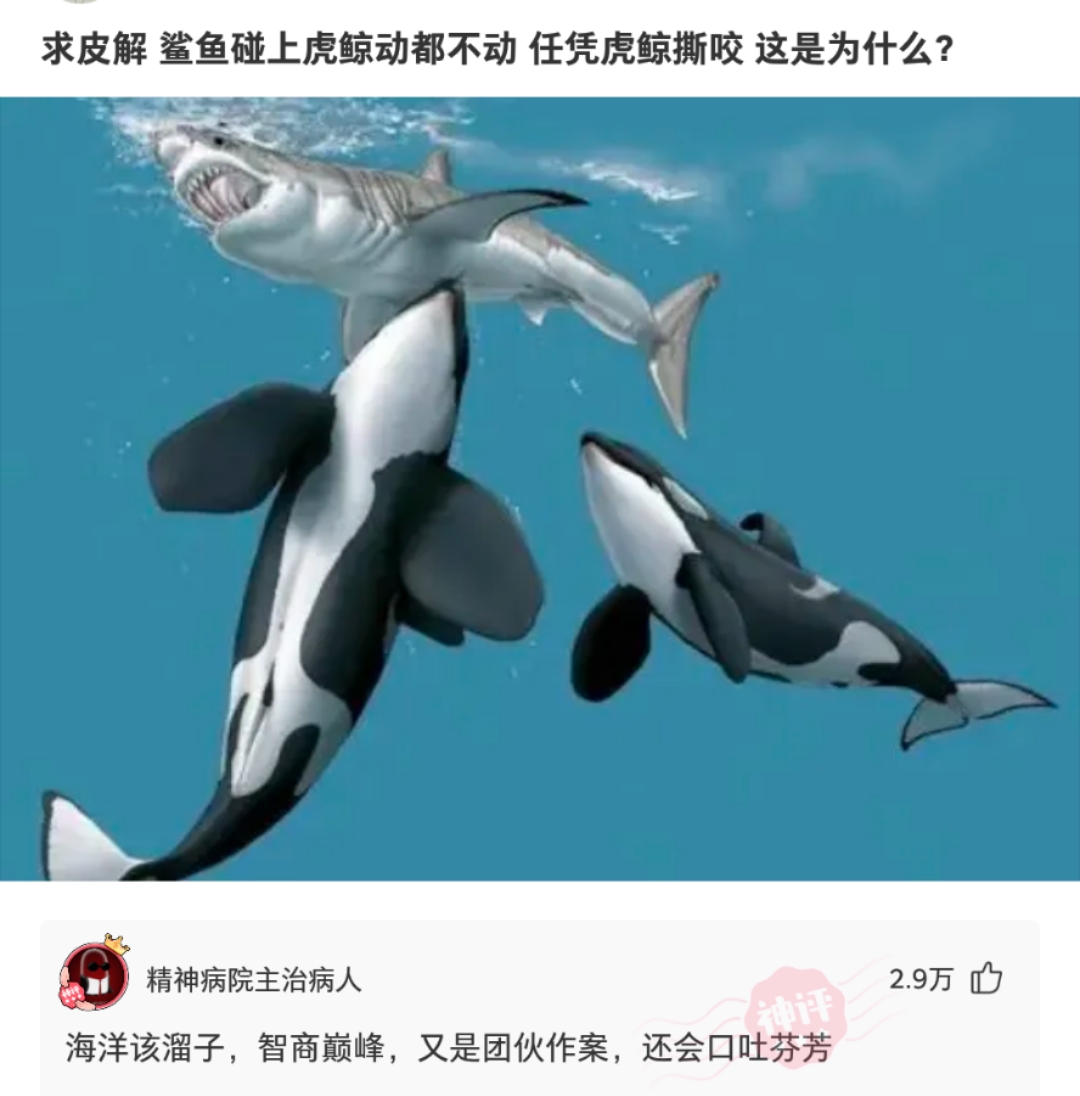 神回复:老婆包里翻出来的,你们知道这是啥药吗每天出门回来都要吃 神回复:老婆包里翻出来的,你们知道这是啥药吗每天出门回来都要吃