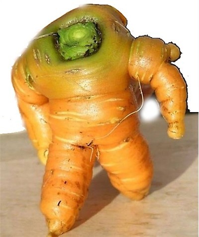 食品图片集--没有什么是不可能的