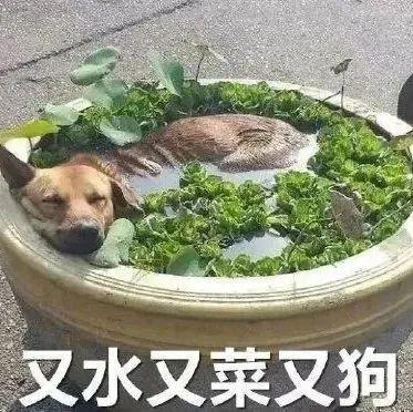 轻松一秒:取经必须裁掉一个人,作为唐僧你裁谁? 轻松一秒:取经必须裁掉一个人,作为唐僧你裁谁?