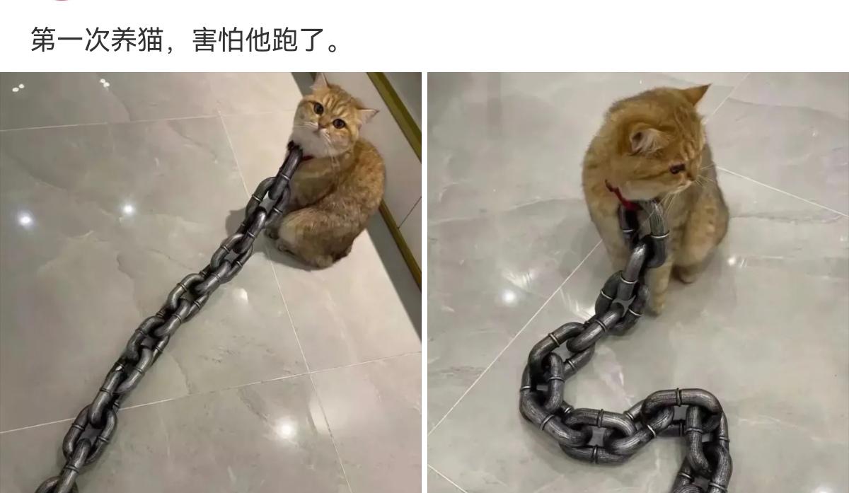 轻松一秒:取经必须裁掉一个人,作为唐僧你裁谁? 轻松一秒:取经必须裁掉一个人,作为唐僧你裁谁?