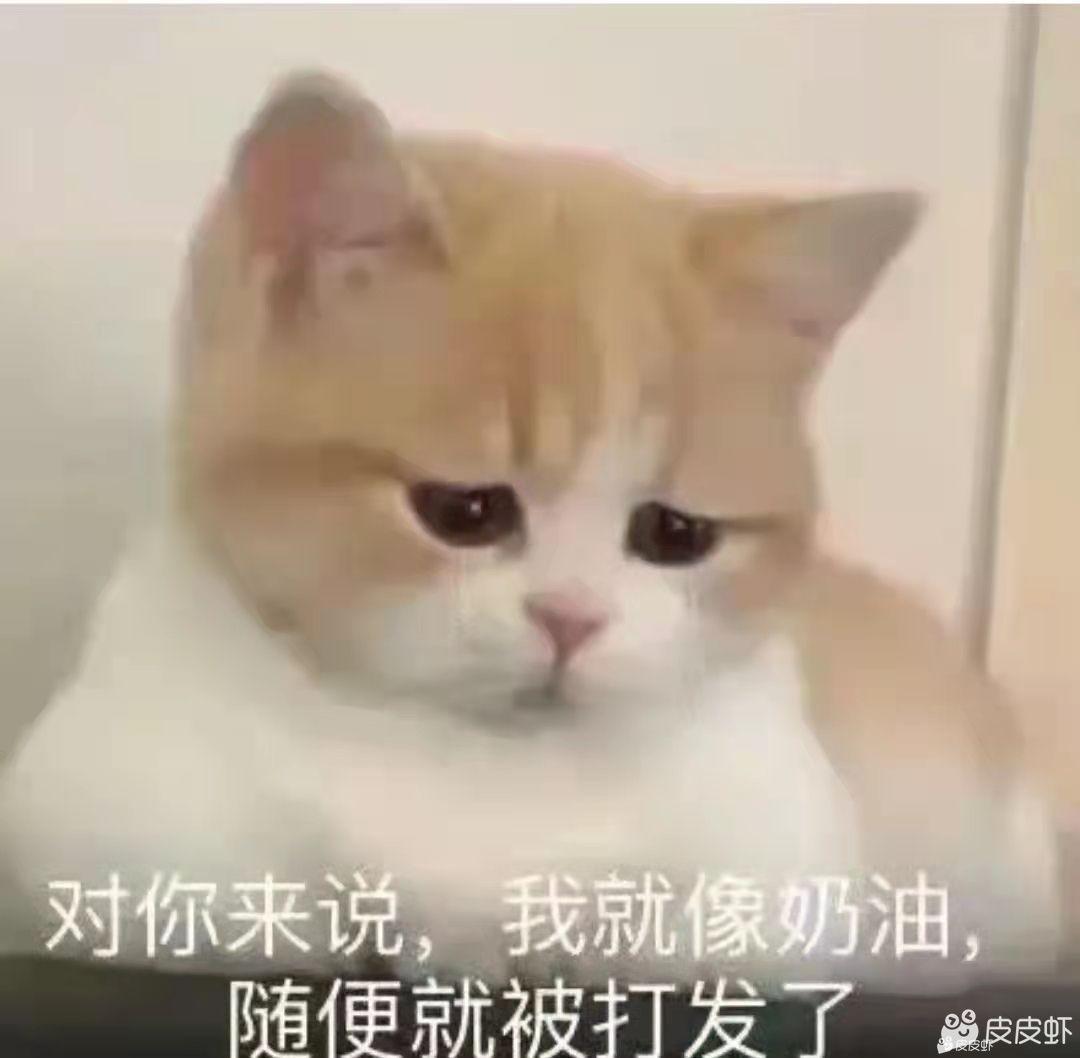 轻松一秒:取经必须裁掉一个人,作为唐僧你裁谁? 轻松一秒:取经必须裁掉一个人,作为唐僧你裁谁?