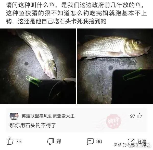 半夜老婆给我发来的照片,网友神评:结过婚的都懂 半夜老婆给我发来的照片,网友神评:结过婚的都懂