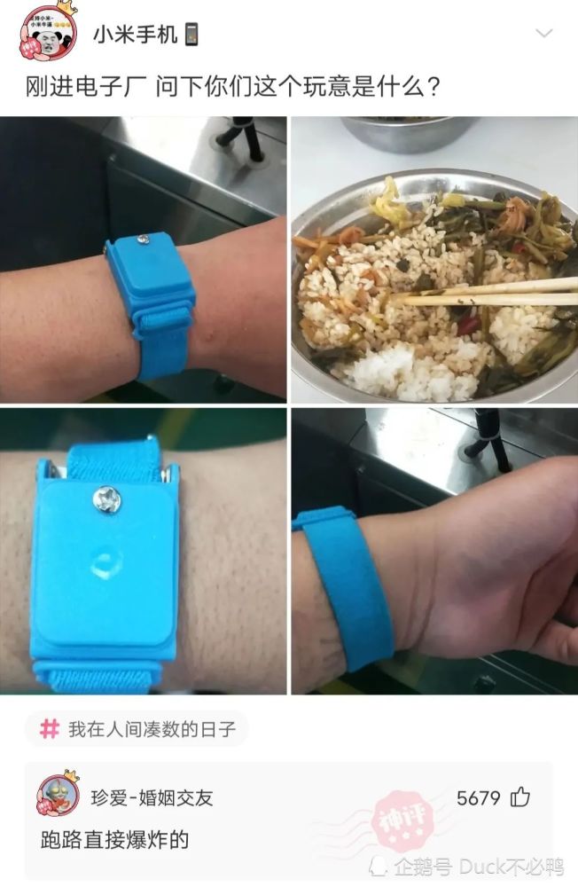 神回复:“刚进电子厂问下你们这个玩意是什么?” 神回复:“刚进电子厂问下你们这个玩意是什么?”