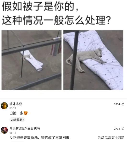 神评论:用30万买你一年,你会愿意吗?神评果然痛快 神评论:用30万买你一年,你会愿意吗?神评果然痛快