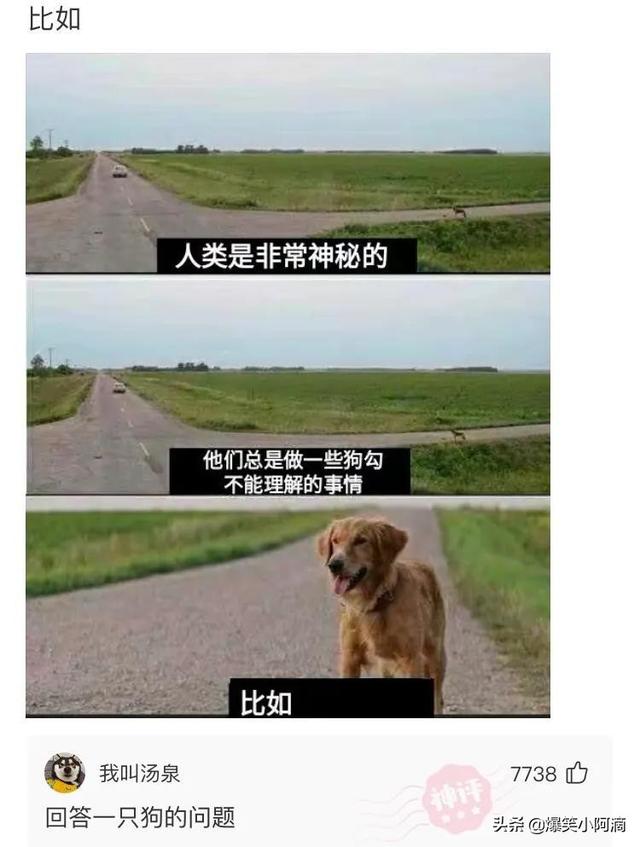 神评论:用30万买你一年,你会愿意吗?神评果然痛快 神评论:用30万买你一年,你会愿意吗?神评果然痛快