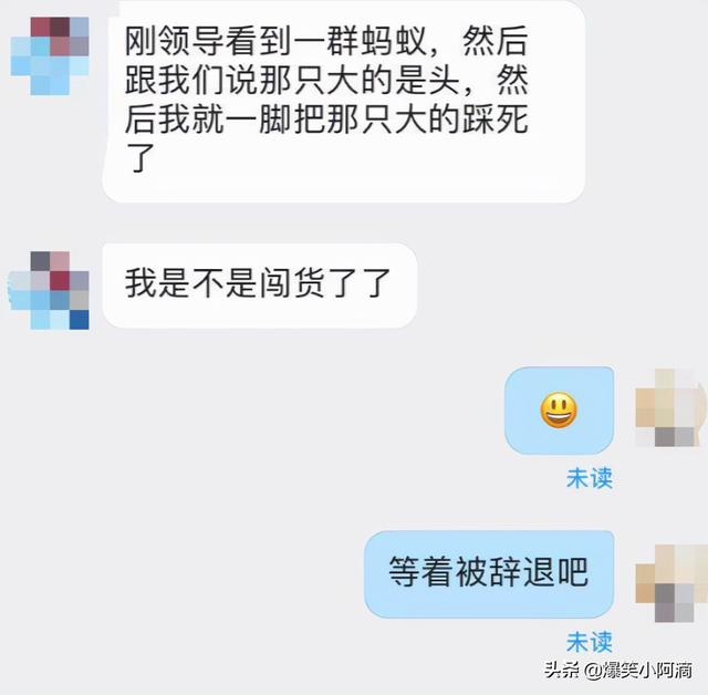 神评论：用30万买你一年，你会愿意吗？神评果然痛快