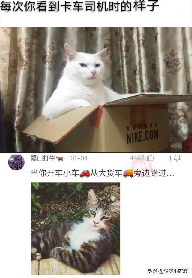 神评论:用30万买你一年,你会愿意吗?神评果然痛快 神评论:用30万买你一年,你会愿意吗?神评果然痛快