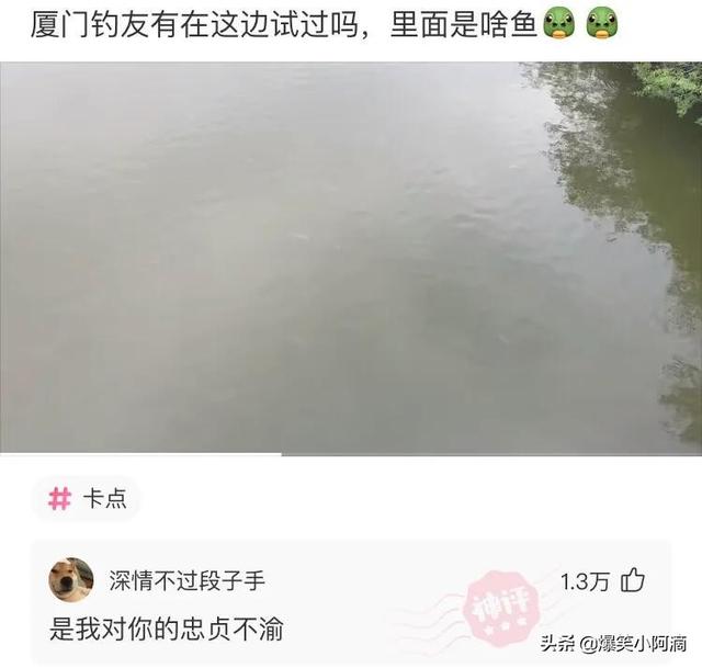 神评论:用30万买你一年,你会愿意吗?神评果然痛快 神评论:用30万买你一年,你会愿意吗?神评果然痛快