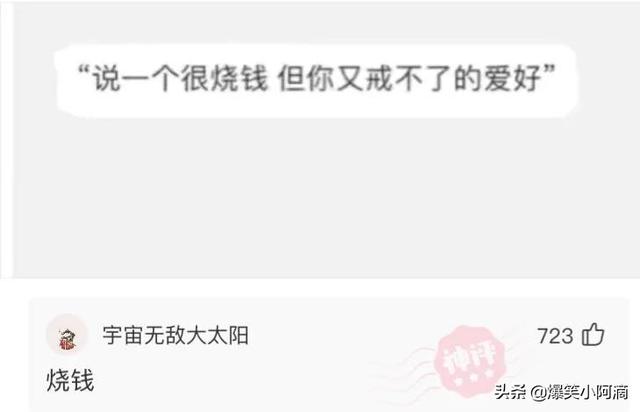 神评论:用30万买你一年,你会愿意吗?神评果然痛快 神评论:用30万买你一年,你会愿意吗?神评果然痛快