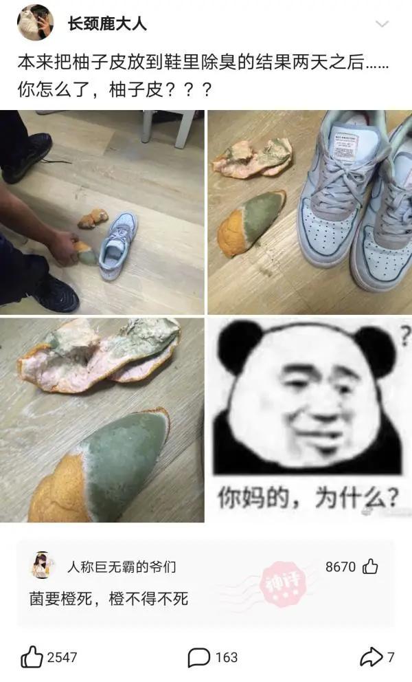 “蹦迪时踩到的，软软的这是啥啊？”哈哈哈评论无敌了