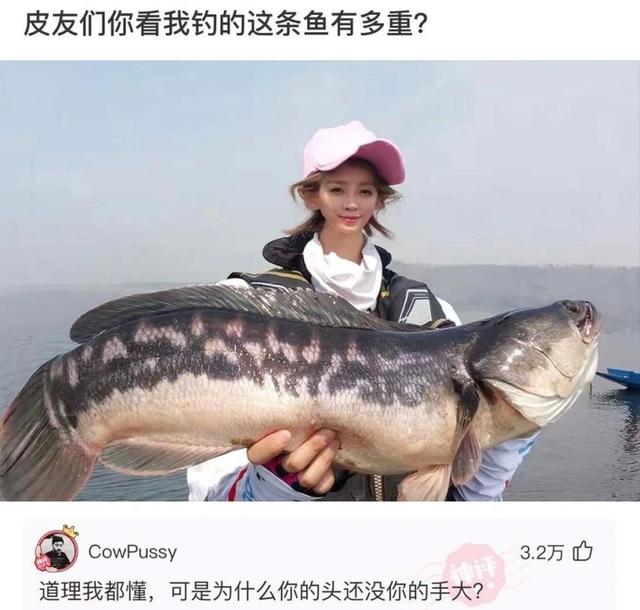 “蹦迪时踩到的，软软的这是啥啊？”哈哈哈评论无敌了