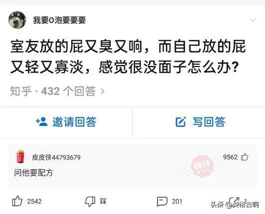 神回复:请小偷们注意,一经抓获,从巷头打到巷尾,全巷长786米 神回复:请小偷们注意,一经抓获,从巷头打到巷尾,全巷长786米