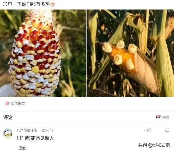 神回复:请小偷们注意,一经抓获,从巷头打到巷尾,全巷长786米 神回复:请小偷们注意,一经抓获,从巷头打到巷尾,全巷长786米