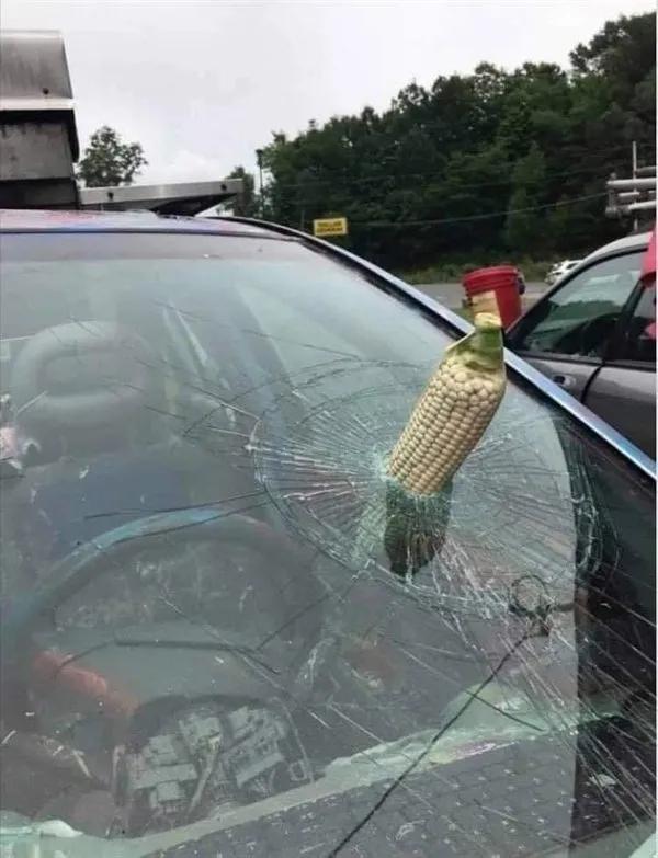 25张被死神遗忘的惊悚照片,运气简直爆棚了 25张被死神遗忘的惊悚照片,运气简直爆棚了