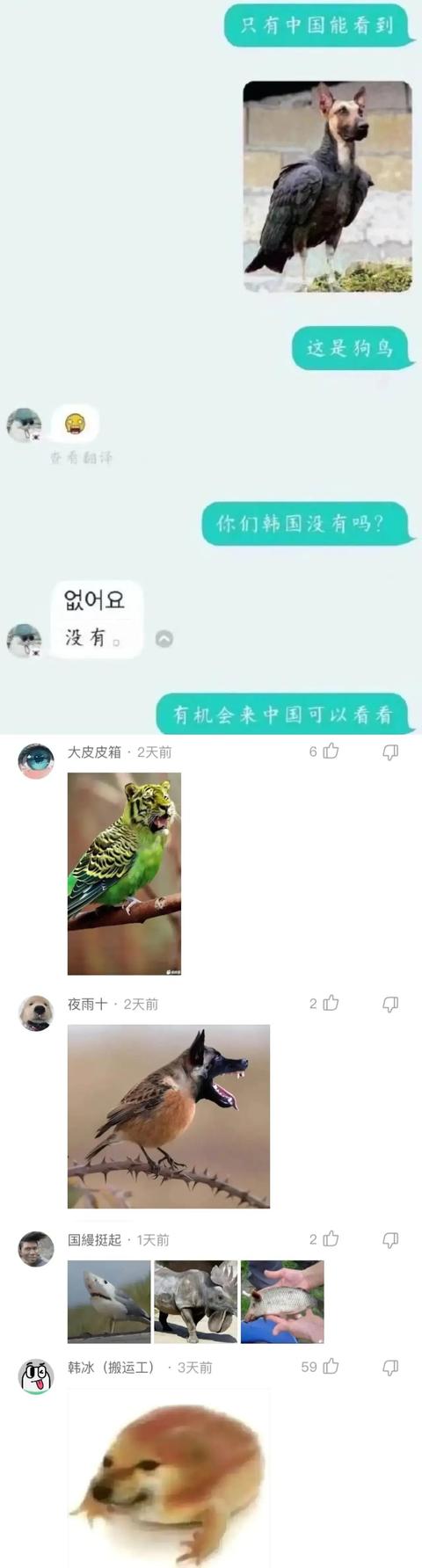 搞笑神回复:要钱没有,要命一条 搞笑神回复:要钱没有,要命一条
