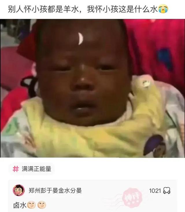 搞笑神回复:要钱没有,要命一条 搞笑神回复:要钱没有,要命一条