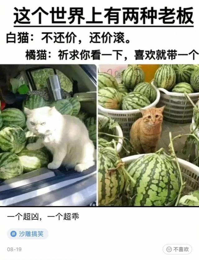 “专家建议将校服改为汉服,这样是否可行?”神评来了 “专家建议将校服改为汉服,这样是否可行?”神评来了