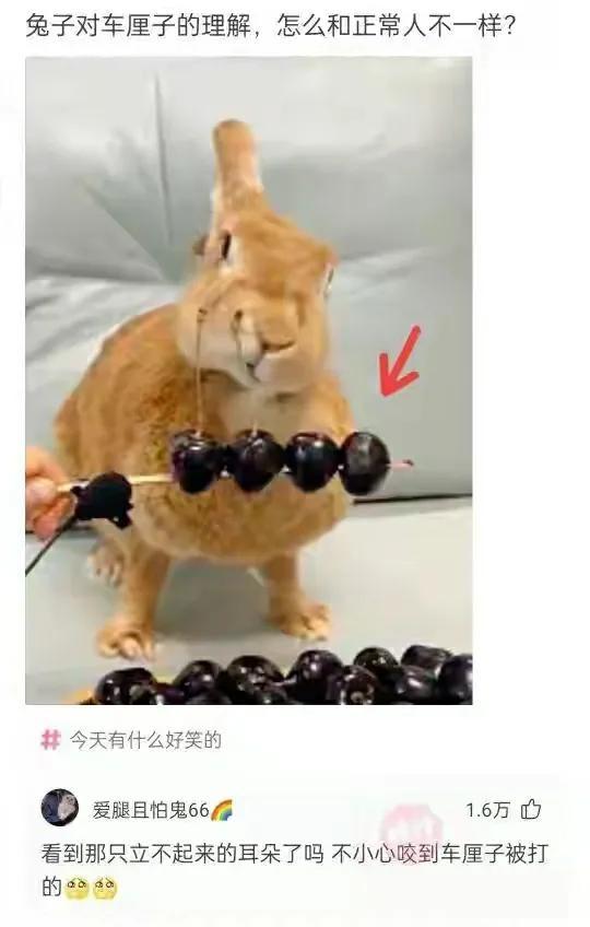 “专家建议将校服改为汉服,这样是否可行?”神评来了 “专家建议将校服改为汉服,这样是否可行?”神评来了