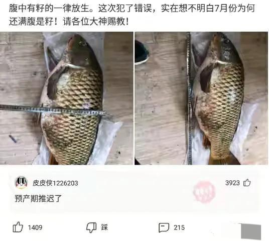 “专家建议将校服改为汉服,这样是否可行?”神评来了 “专家建议将校服改为汉服,这样是否可行?”神评来了