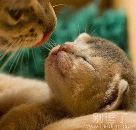 好温馨的画面啊！