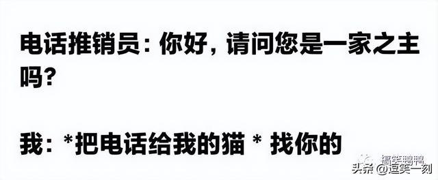 一年后对象才回复信息?哈哈哈笑不活了,可能在高维空间 一年后对象才回复信息?哈哈哈笑不活了,可能在高维空间