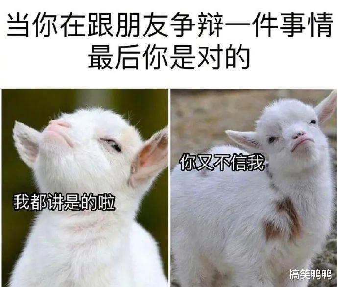 “网恋男朋友:我去和别的女生打游戏了”,哈哈哈果真是诚实 “网恋男朋友:我去和别的女生打游戏了”,哈哈哈果真是诚实