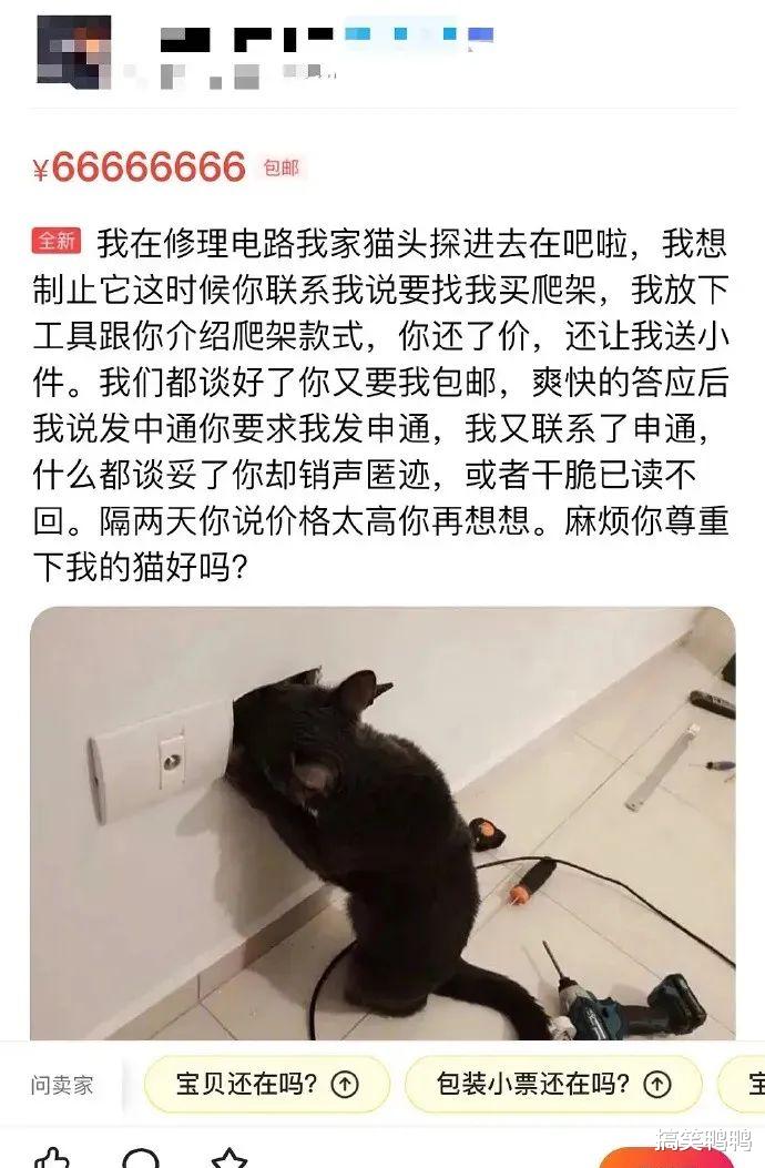 “网恋男朋友：我去和别的女生打游戏了”，哈哈哈果真是诚实