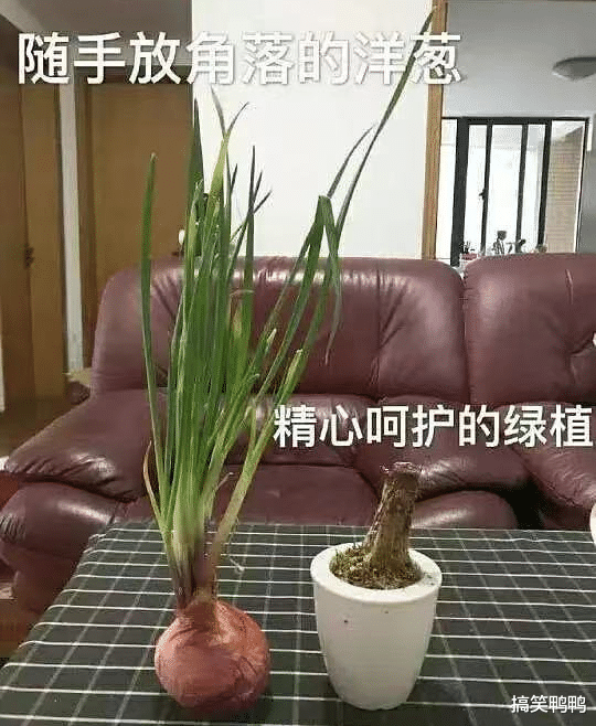 “网恋男朋友:我去和别的女生打游戏了”,哈哈哈果真是诚实 “网恋男朋友:我去和别的女生打游戏了”,哈哈哈果真是诚实