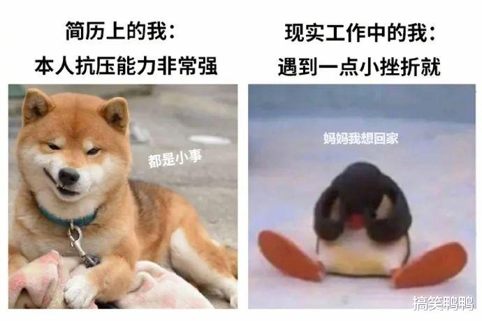 “网恋男朋友:我去和别的女生打游戏了”,哈哈哈果真是诚实 “网恋男朋友:我去和别的女生打游戏了”,哈哈哈果真是诚实