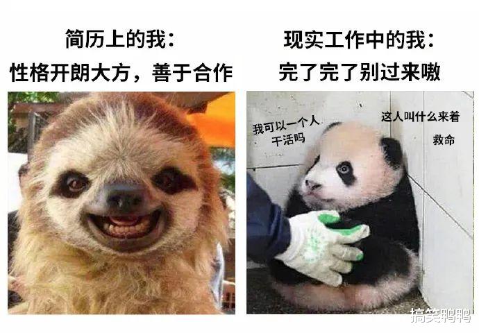 “网恋男朋友:我去和别的女生打游戏了”,哈哈哈果真是诚实 “网恋男朋友:我去和别的女生打游戏了”,哈哈哈果真是诚实
