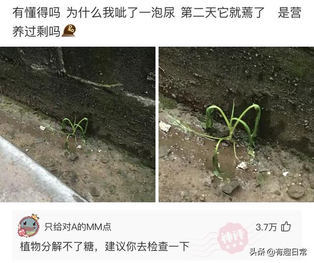 跟小姐姐相亲，我却看上她闺蜜，我该怎么选择？哈哈哈