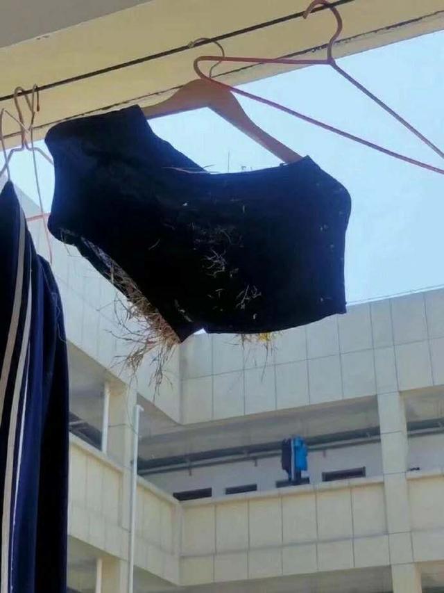 每日一笑:这件衣服怎么能说实话呢? 每日一笑:这件衣服怎么能说实话呢?
