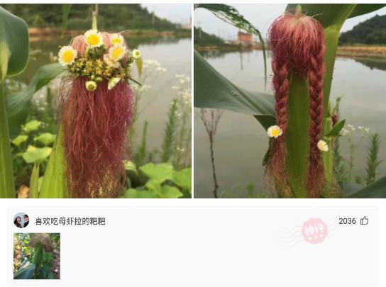 据说只有河南人和山东人才懂啥意思，其他省份的人看不懂，我不懂