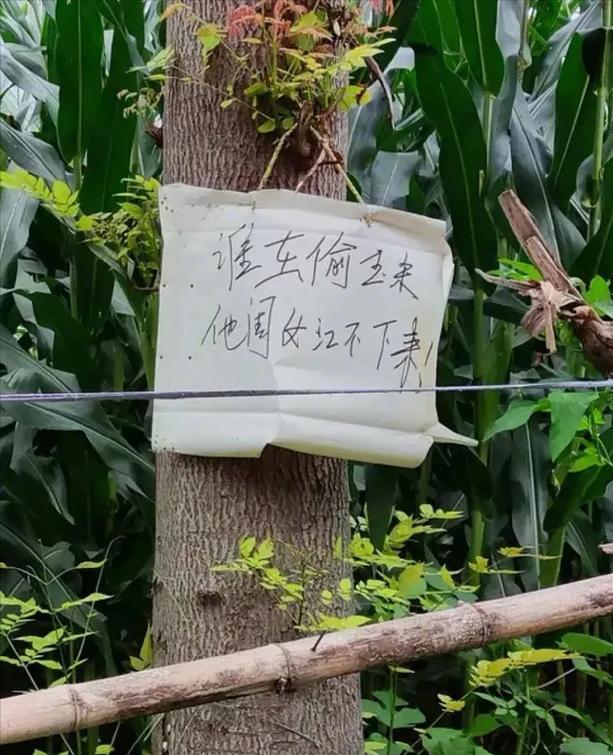 据说只有河南人和山东人才懂啥意思，其他省份的人看不懂，我不懂