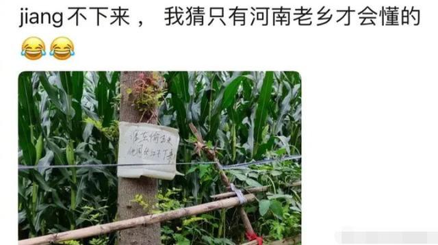 据说只有河南人和山东人才懂啥意思，其他省份的人看不懂，我不懂