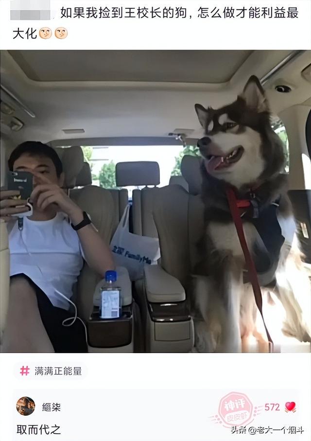神回复：如果失业和分手同时来临该怎么度过？