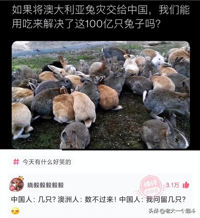 神回复：如果失业和分手同时来临该怎么度过？