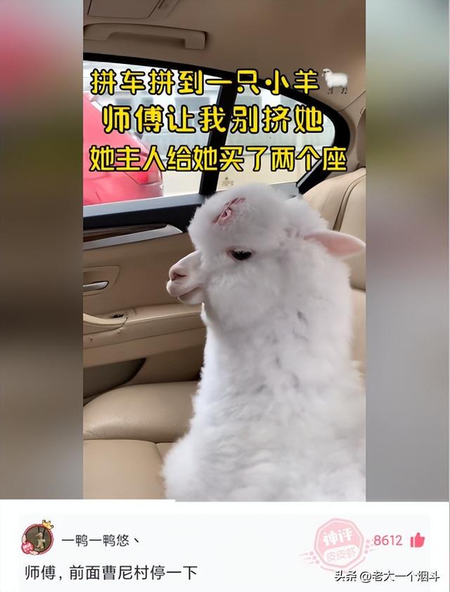 神回复：如果失业和分手同时来临该怎么度过？