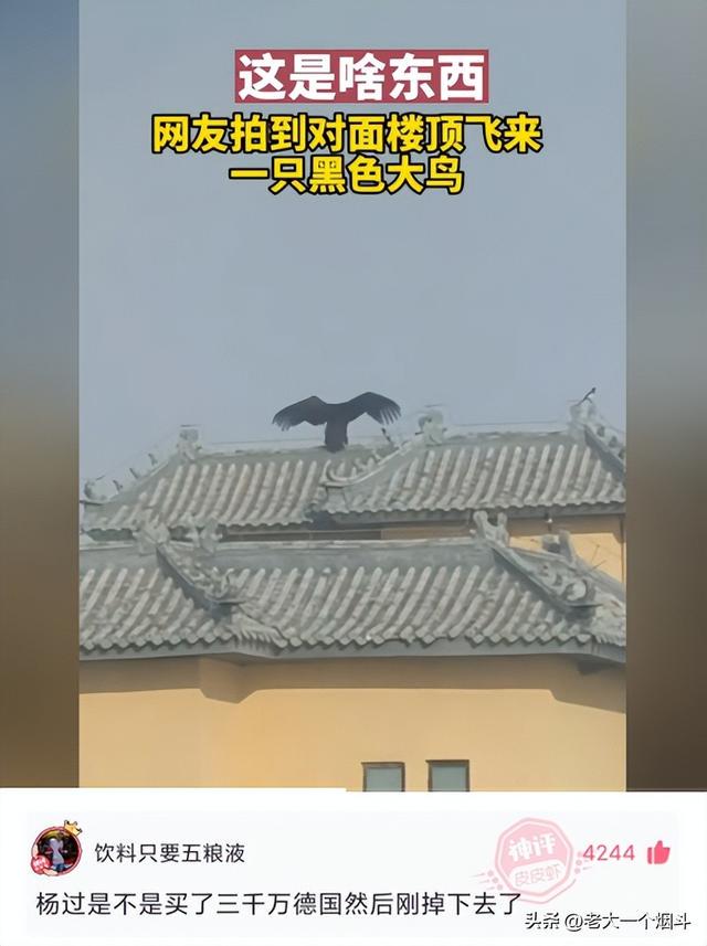 神回复：如果失业和分手同时来临该怎么度过？