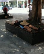 在大树下的人。。。 在大树下的人。。。