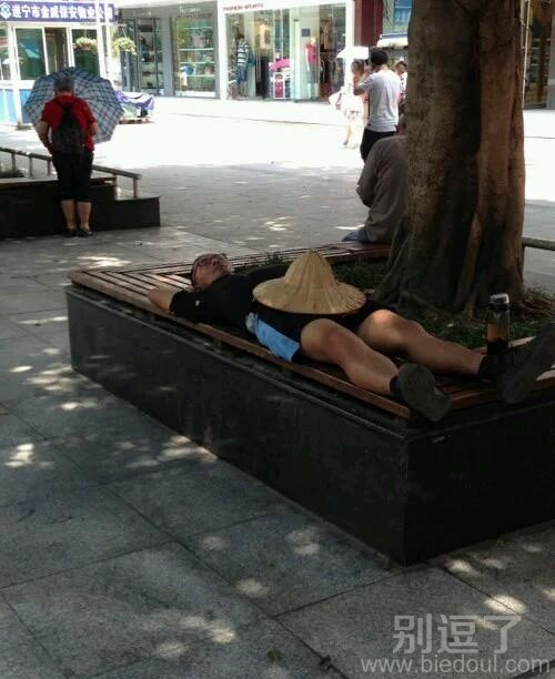 在大树下的人。。。 在大树下的人。。。