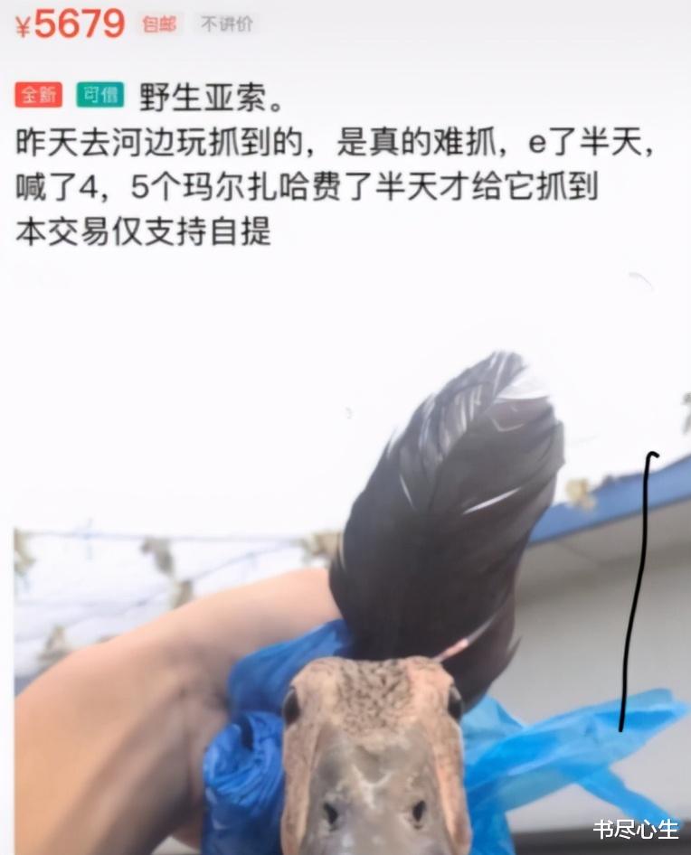 神回复:儿子问我,为什么有智慧的人都会很年轻就死掉呢? 神回复:儿子问我,为什么有智慧的人都会很年轻就死掉呢?