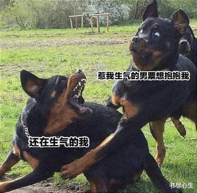 神回复:儿子问我,为什么有智慧的人都会很年轻就死掉呢? 神回复:儿子问我,为什么有智慧的人都会很年轻就死掉呢?